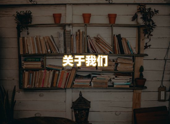 关于我们